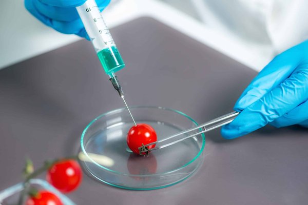 How to Install a Performance Chip on a Ford Fiesta ST for Enhanced Throttle Response?